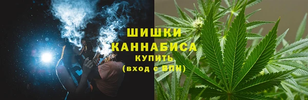 дживик Няндома