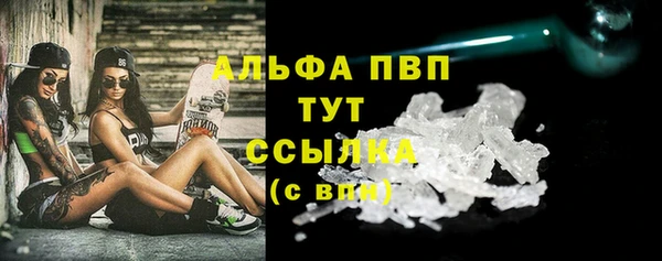 дживик Няндома