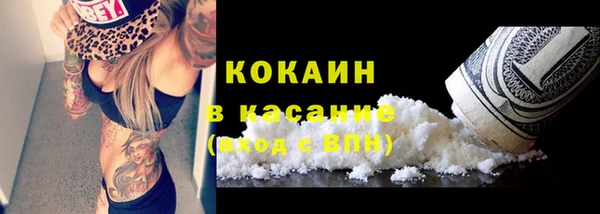 дживик Няндома