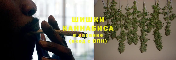 дживик Няндома