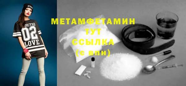 дживик Няндома