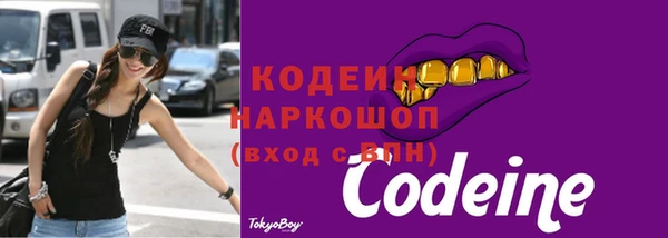 дживик Няндома