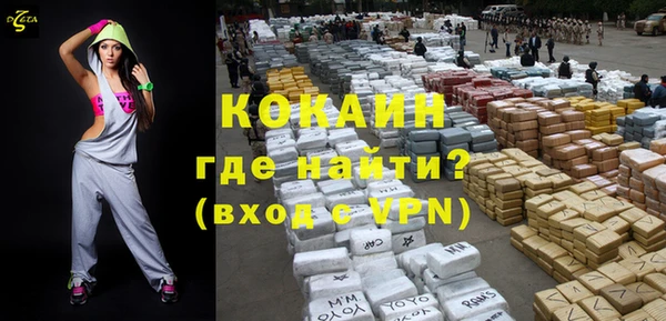 дживик Няндома