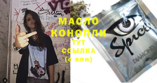 дживик Няндома