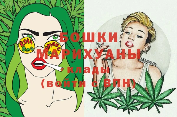 дживик Няндома