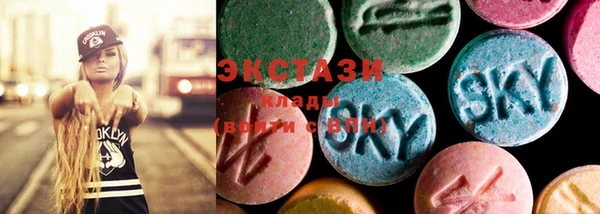 дживик Няндома